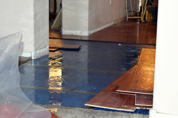 Professional Burst Pipe Cleanup technician working in Lawrence, NY